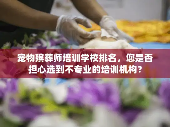 宠物殡葬师培训学校排名，您是否担心选到不专业的培训机构？