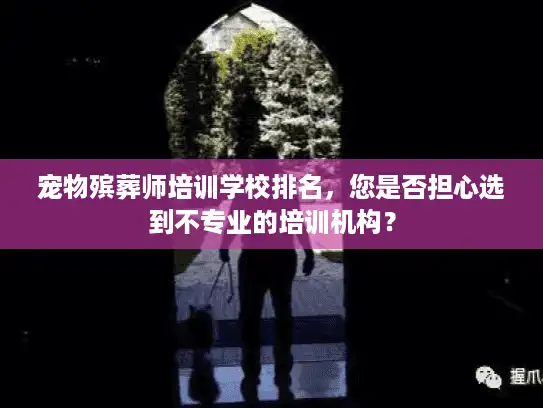 宠物殡葬师培训学校排名，您是否担心选到不专业的培训机构？