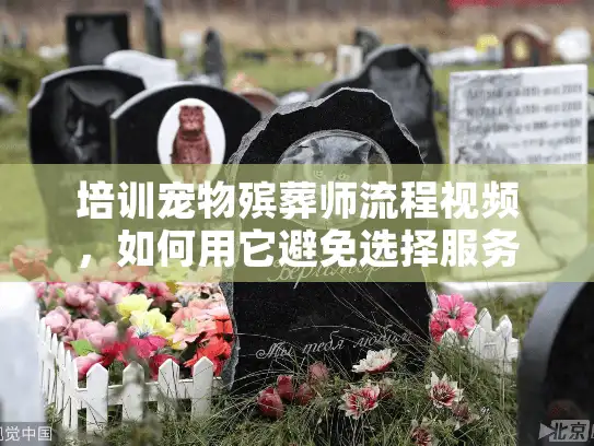 培训宠物殡葬师流程视频，如何用它避免选择服务时的心痛陷阱？