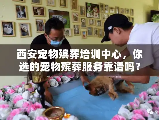 西安宠物殡葬培训中心，你选的宠物殡葬服务靠谱吗？
