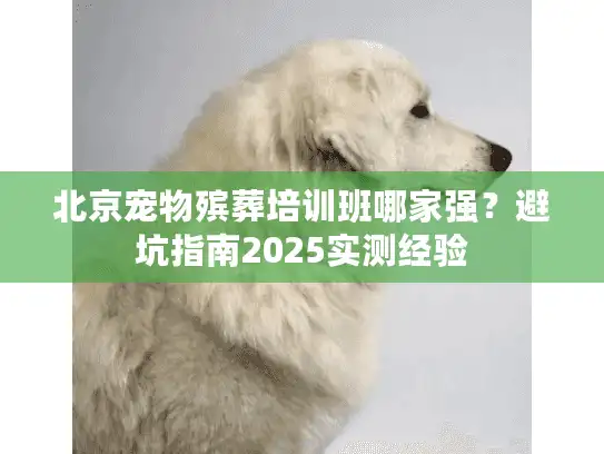 北京宠物殡葬培训班哪家强？避坑指南2025实测经验