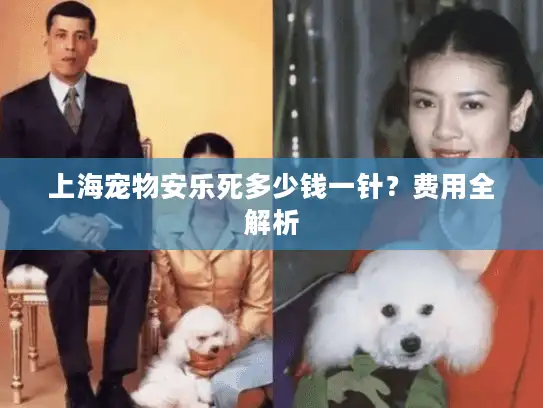 上海宠物安乐死多少钱一针？费用全解析