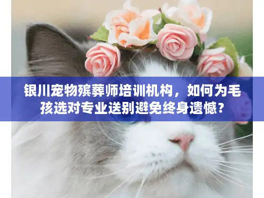 银川宠物殡葬师培训机构，如何为毛孩选对专业送别避免终身遗憾？