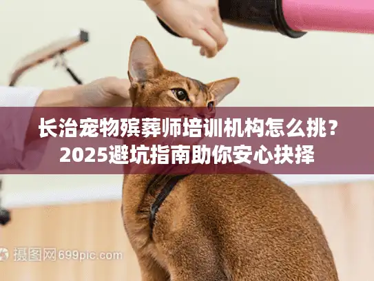 长治宠物殡葬师培训机构怎么挑？2025避坑指南助你安心抉择