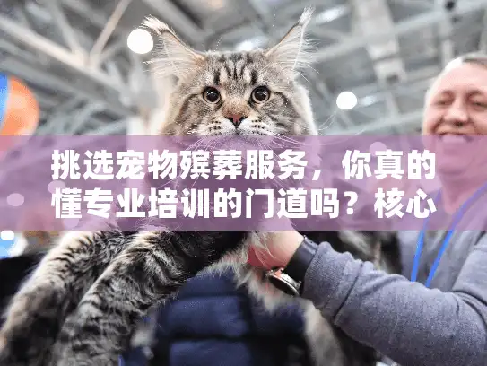 挑选宠物殡葬服务，你真的懂专业培训的门道吗？核心关键词，宠物殡葬最专业的培训）