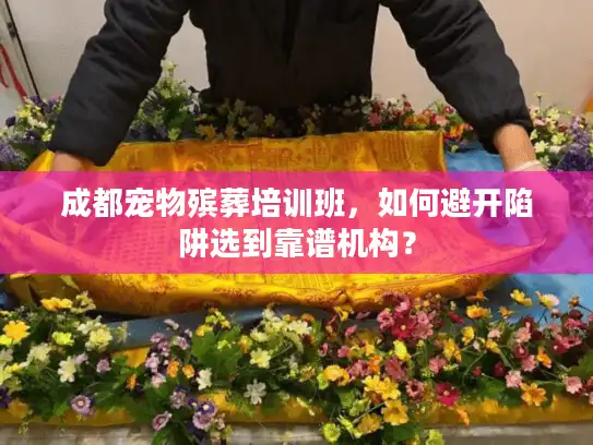 成都宠物殡葬培训班，如何避开陷阱选到靠谱机构？