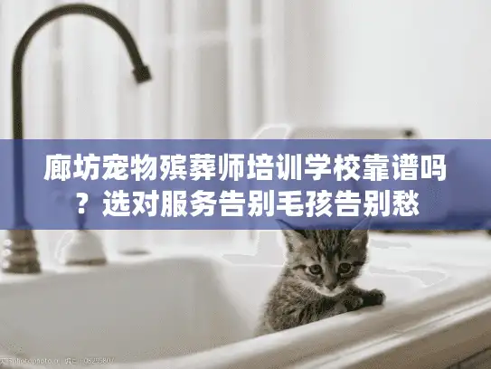 廊坊宠物殡葬师培训学校靠谱吗？选对服务告别毛孩告别愁