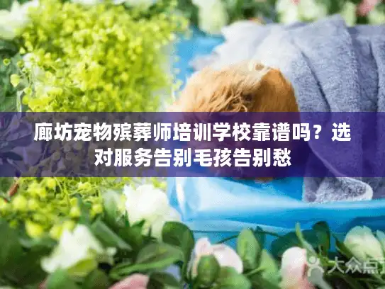 廊坊宠物殡葬师培训学校靠谱吗？选对服务告别毛孩告别愁