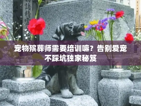 宠物殡葬师需要培训嘛？告别爱宠不踩坑独家秘笈