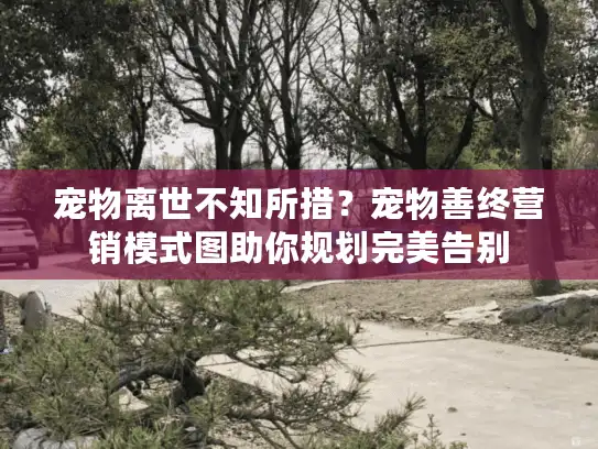 宠物离世不知所措？宠物善终营销模式图助你规划完美告别