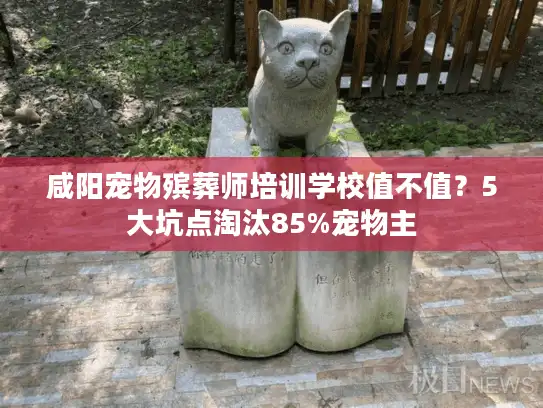 咸阳宠物殡葬师培训学校值不值？5大坑点淘汰85%宠物主