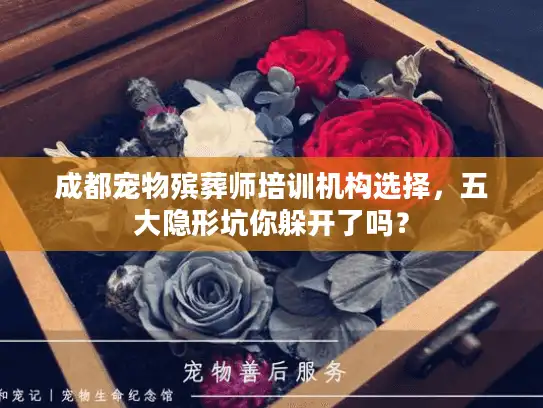 成都宠物殡葬师培训机构选择，五大隐形坑你躲开了吗？