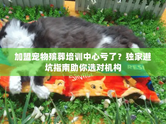 加盟宠物殡葬培训中心亏了？独家避坑指南助你选对机构
