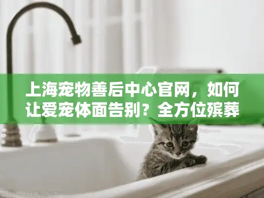 上海宠物善后中心官网，如何让爱宠体面告别？全方位殡葬服务指南