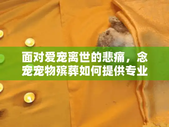 面对爱宠离世的悲痛，念宠宠物殡葬如何提供专业宠物善终服务？