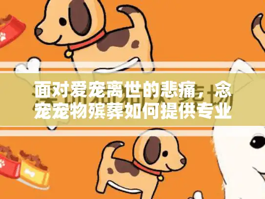 面对爱宠离世的悲痛，念宠宠物殡葬如何提供专业宠物善终服务？