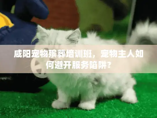 咸阳宠物殡葬培训班，宠物主人如何避开服务陷阱？