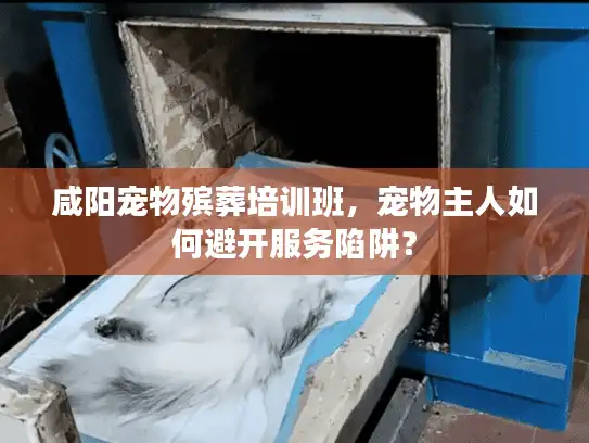 咸阳宠物殡葬培训班，宠物主人如何避开服务陷阱？