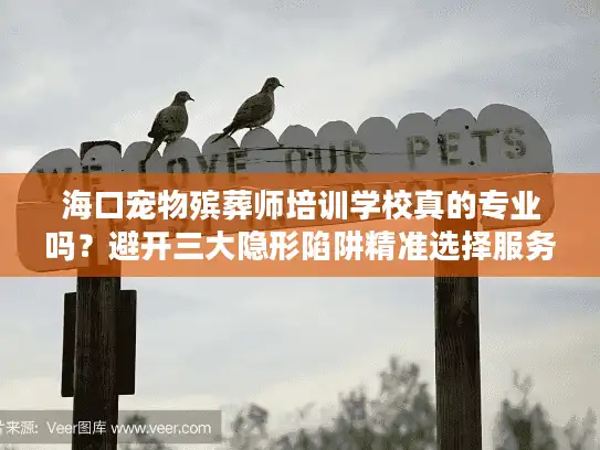 海口宠物殡葬师培训学校真的专业吗？避开三大隐形陷阱精准选择服务！