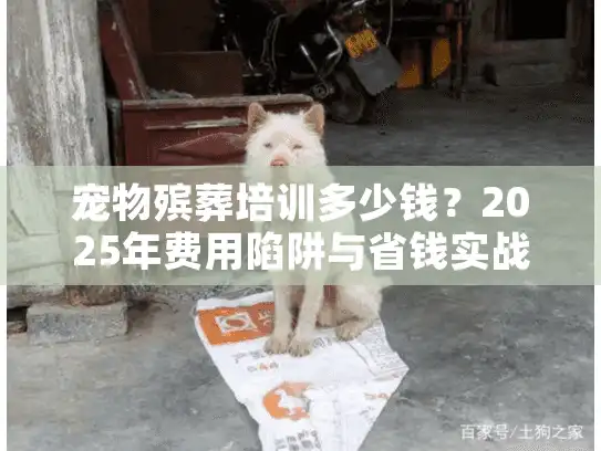宠物殡葬培训多少钱？2025年费用陷阱与省钱实战揭秘