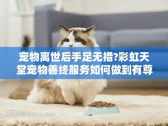 宠物离世后手足无措?彩虹天堂宠物善终服务如何做到有尊严的告别