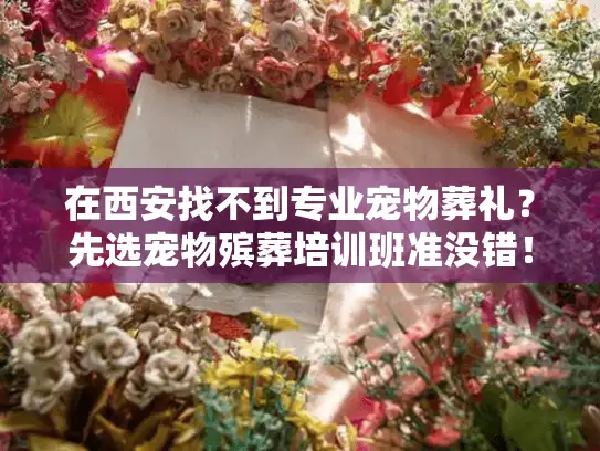 在西安找不到专业宠物葬礼？先选宠物殡葬培训班准没错！