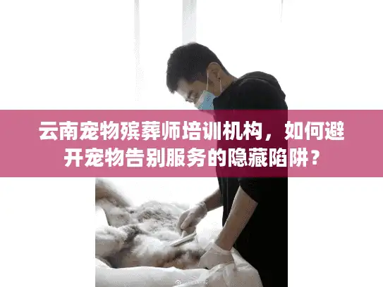云南宠物殡葬师培训机构，如何避开宠物告别服务的隐藏陷阱？