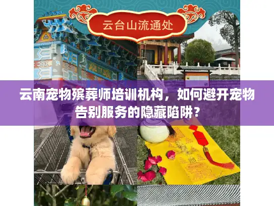 云南宠物殡葬师培训机构，如何避开宠物告别服务的隐藏陷阱？