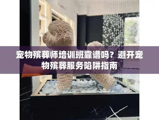 宠物殡葬师培训班靠谱吗？避开宠物殡葬服务陷阱指南