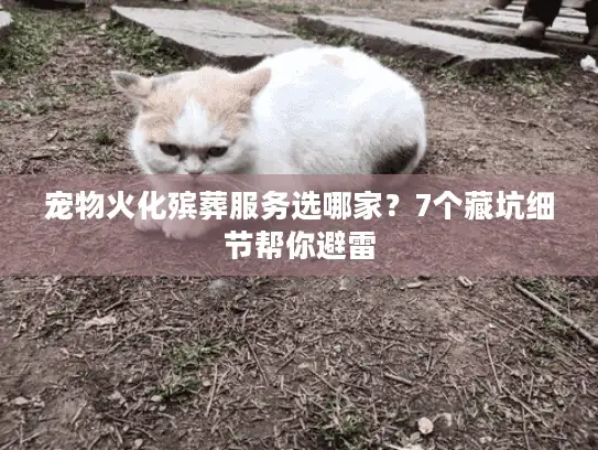 宠物火化殡葬服务选哪家？7个藏坑细节帮你避雷