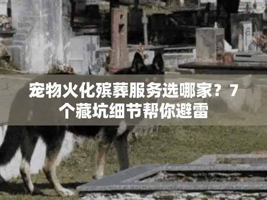 宠物火化殡葬服务选哪家？7个藏坑细节帮你避雷