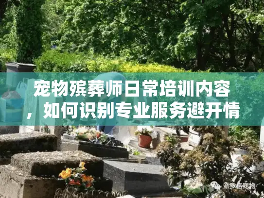 宠物殡葬师日常培训内容，如何识别专业服务避开情绪陷阱？