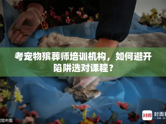 考宠物殡葬师培训机构，如何避开陷阱选对课程？