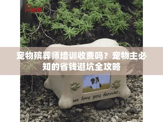 宠物殡葬师培训收费吗？宠物主必知的省钱避坑全攻略