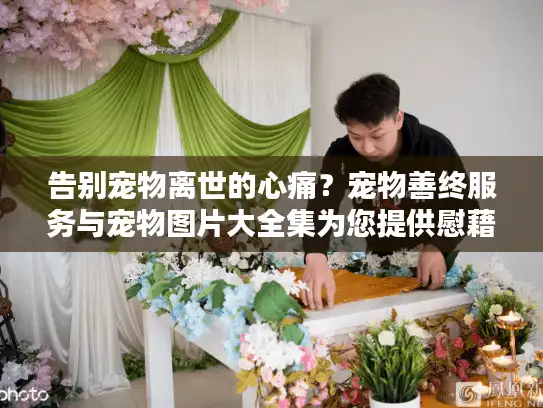 告别宠物离世的心痛？宠物善终服务与宠物图片大全集为您提供慰藉