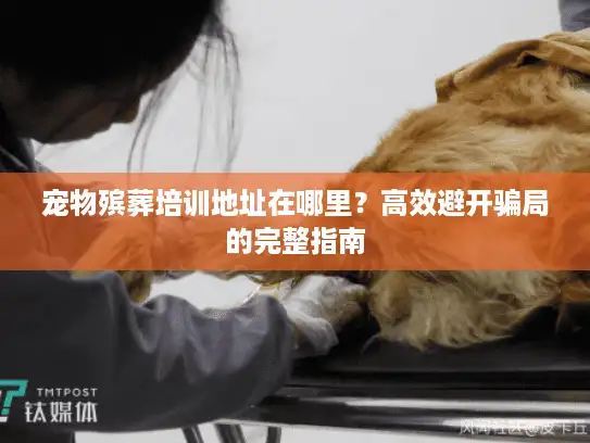宠物殡葬培训地址在哪里？高效避开骗局的完整指南