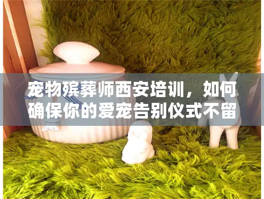 宠物殡葬师西安培训，如何确保你的爱宠告别仪式不留遗憾？