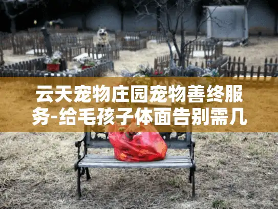 云天宠物庄园宠物善终服务-给毛孩子体面告别需几步？