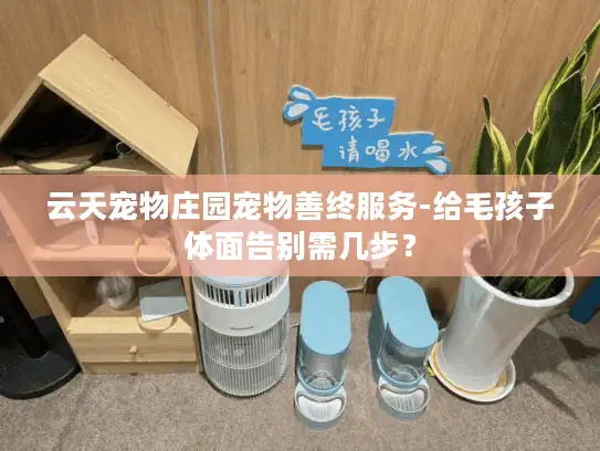 云天宠物庄园宠物善终服务-给毛孩子体面告别需几步？