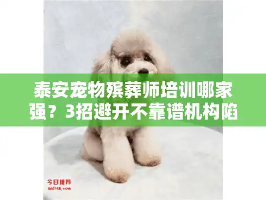 泰安宠物殡葬师培训哪家强？3招避开不靠谱机构陷阱