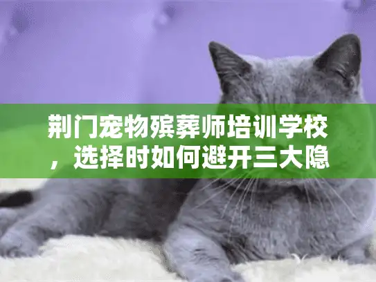 荆门宠物殡葬师培训学校，选择时如何避开三大隐性风险？节省你的血汗钱！