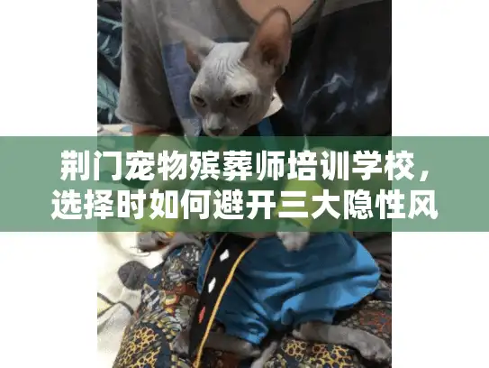 荆门宠物殡葬师培训学校，选择时如何避开三大隐性风险？节省你的血汗钱！