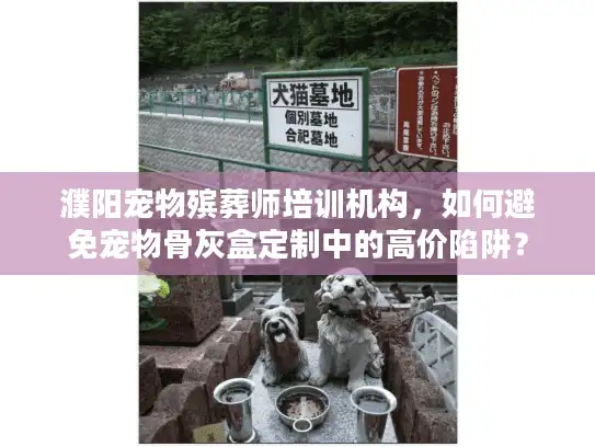 濮阳宠物殡葬师培训机构，如何避免宠物骨灰盒定制中的高价陷阱？