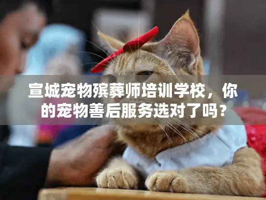 宣城宠物殡葬师培训学校，你的宠物善后服务选对了吗？