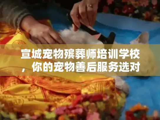 宣城宠物殡葬师培训学校，你的宠物善后服务选对了吗？