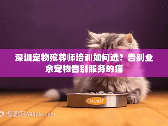 深圳宠物殡葬师培训如何选？告别业余宠物告别服务的痛