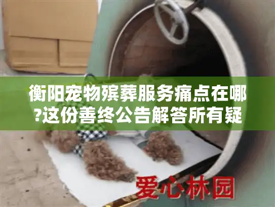衡阳宠物殡葬服务痛点在哪?这份善终公告解答所有疑问