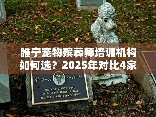 睢宁宠物殡葬师培训机构如何选？2025年对比4家实操避坑指南
