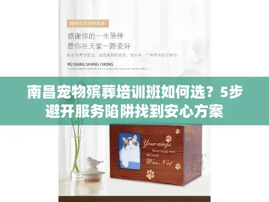 南昌宠物殡葬培训班如何选？5步避开服务陷阱找到安心方案