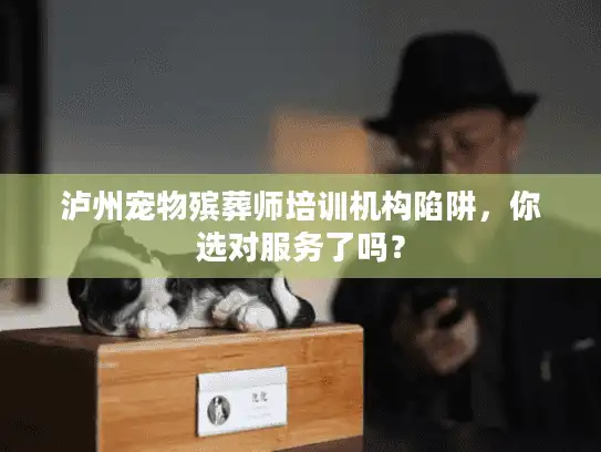 泸州宠物殡葬师培训机构陷阱，你选对服务了吗？